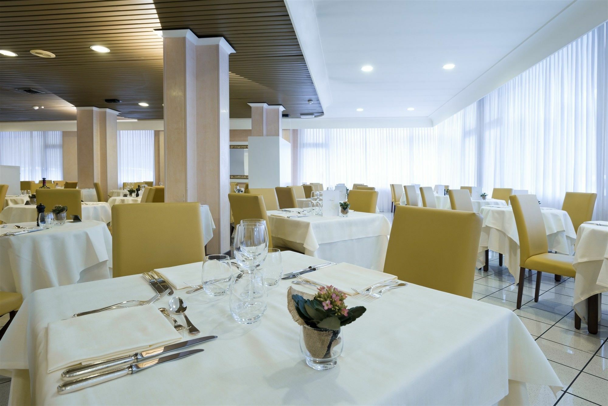 Hotel Terme Olympia Montegrotto Terme Ngoại thất bức ảnh